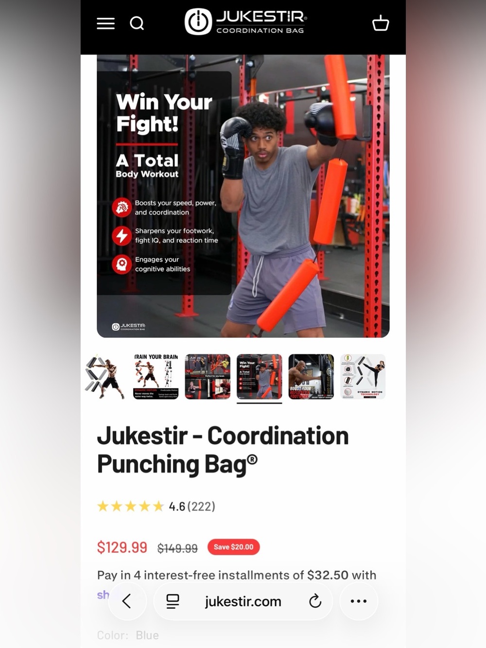 Coordination Punching Bag - blue